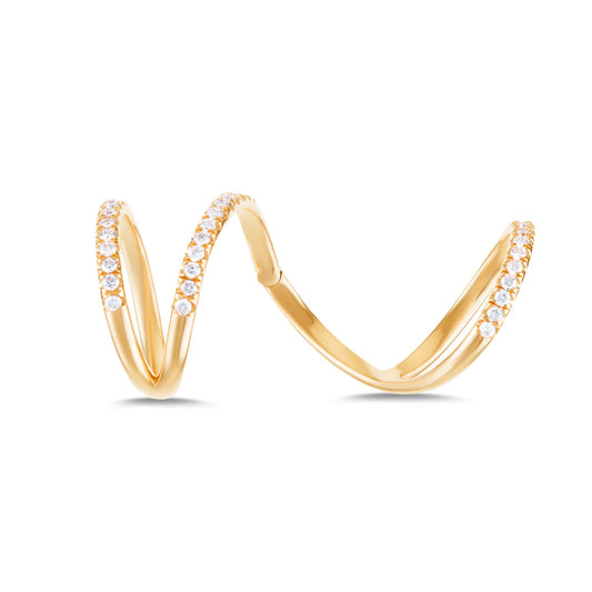 Infinite Curve Ring